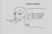 日本人工肾研究进展，突破性技术与未来展望