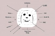 增强算法，提升智能系统性能的关键技术