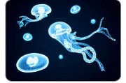 深海生物基因生成，探索生命起源与未来应用