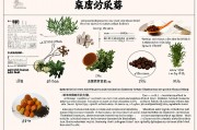 中药配方生成系统，传统智慧与现代科技的完美融合