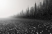 API算法，现代技术生态系统的核心驱动力