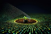 数据挖掘在农业领域的应用，提升效率与可持续发展的关键